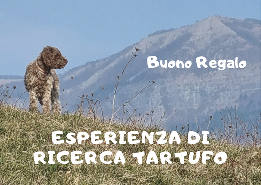 Give the gift of a truffle hunting and tasting experience
