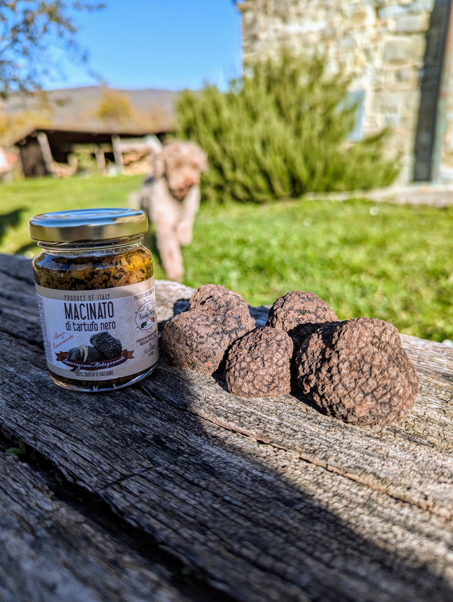 Black truffle Uncinatum