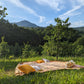 Truffle picnic in a truffle forest in the Apennines