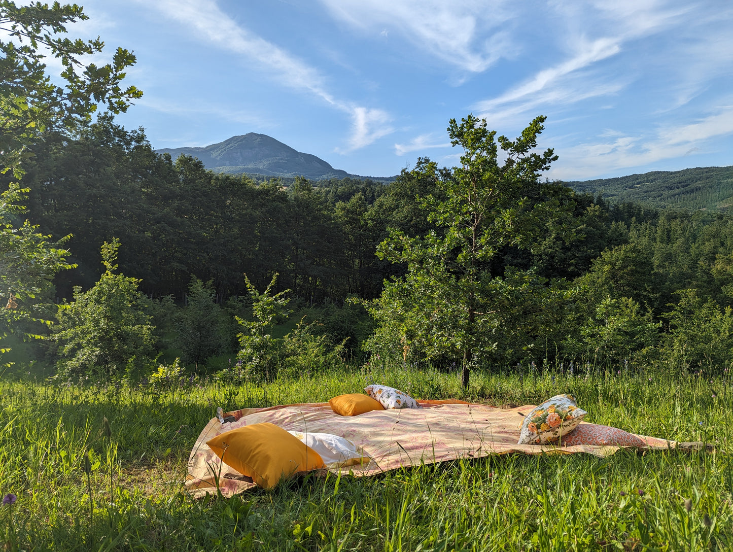 Trüffelpicknick in einer Trüffelplantage im Apennin