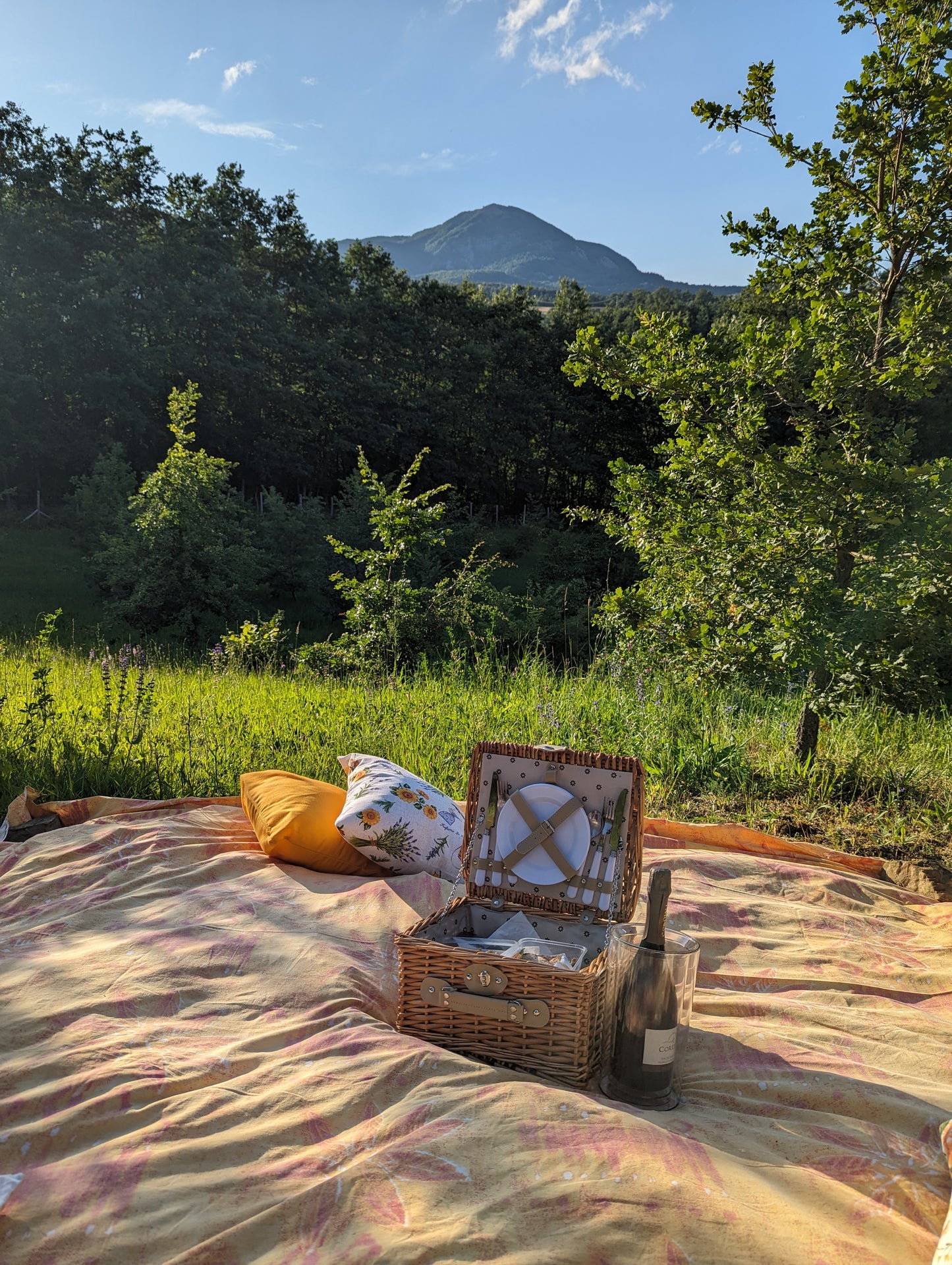 Truffle picnic in a truffle forest in the Apennines