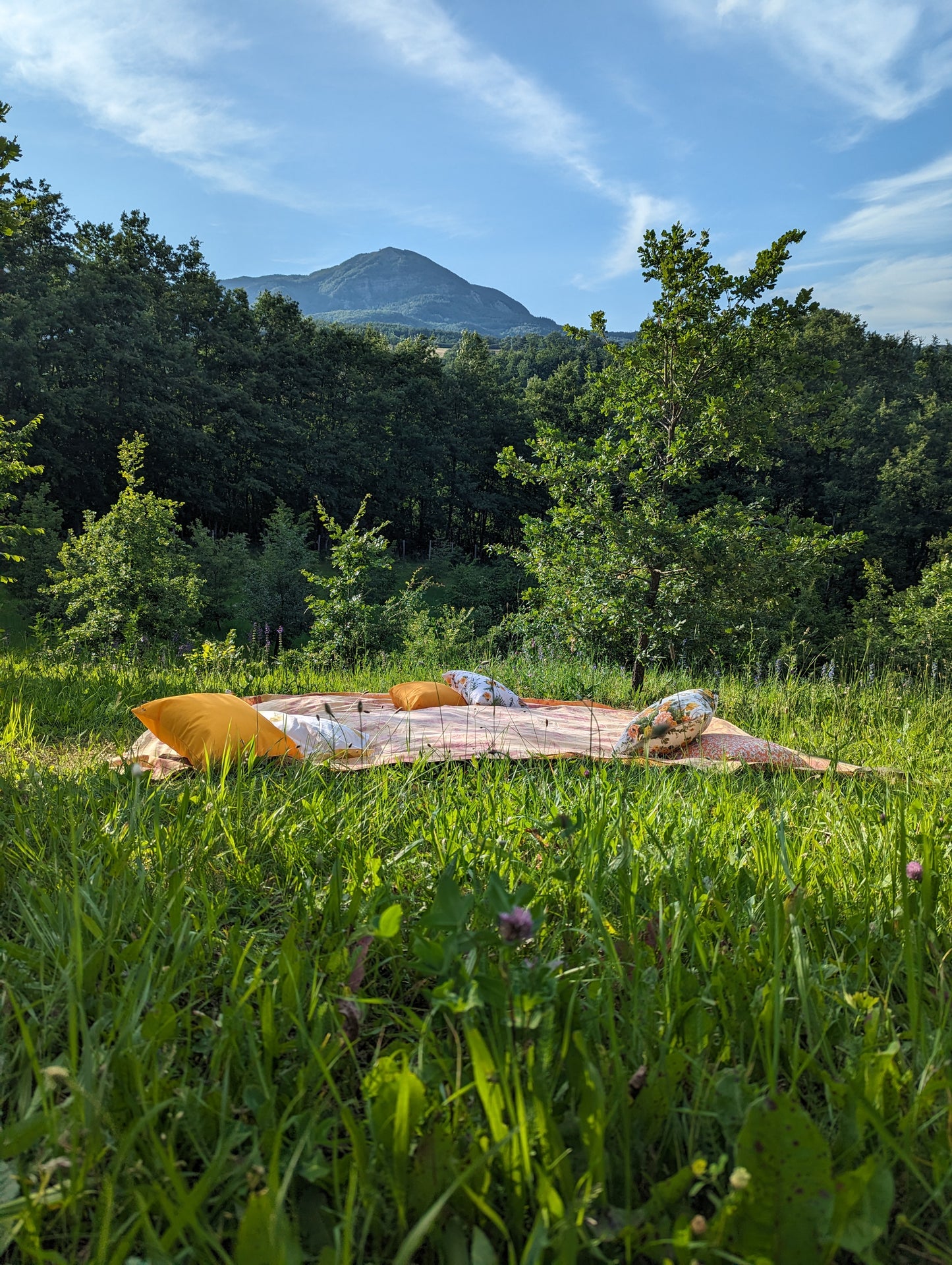 Truffle picnic in a truffle forest in the Apennines