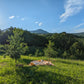 Truffle picnic in a truffle forest in the Apennines