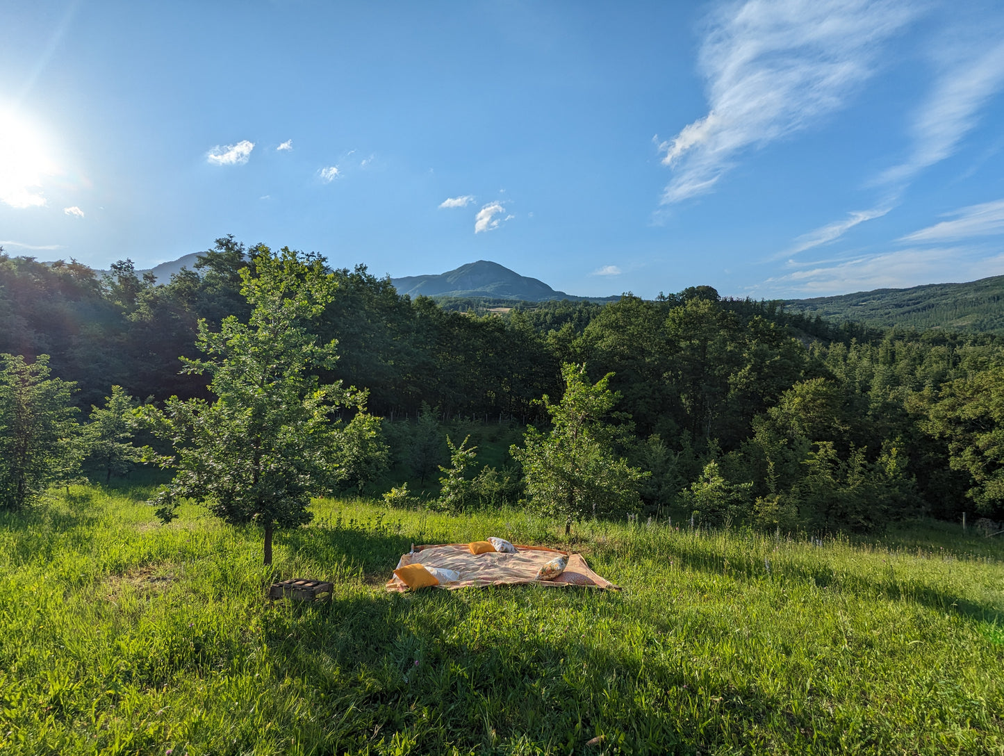 Trüffelpicknick in einer Trüffelplantage im Apennin