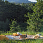 Truffle picnic in a truffle forest in the Apennines