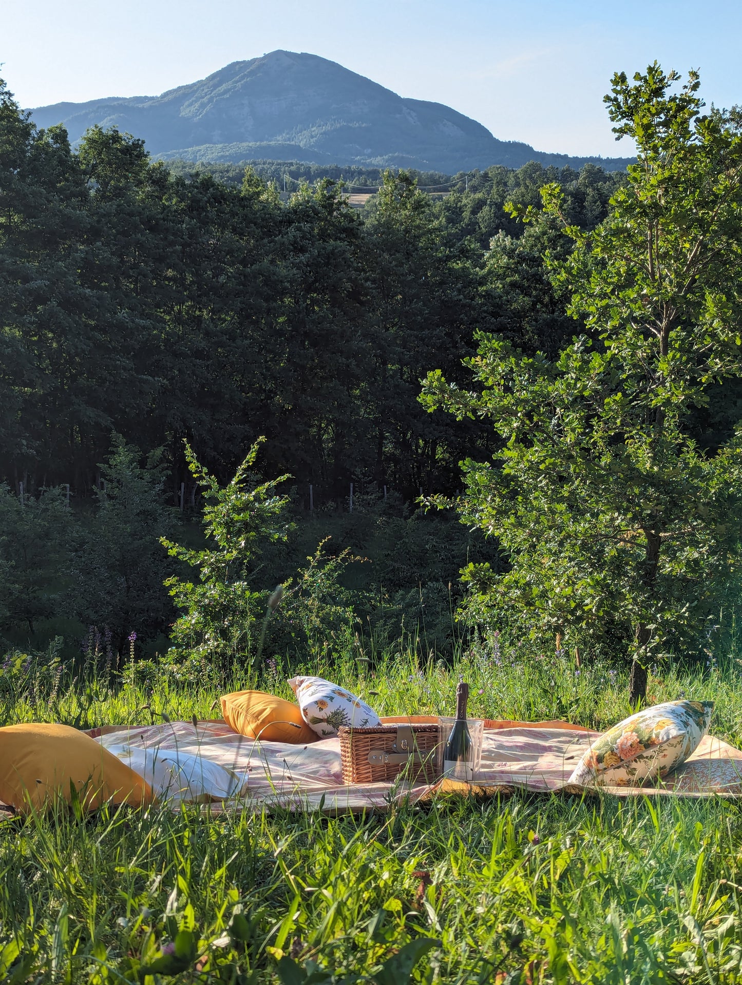 Truffle picnic in a truffle forest in the Apennines