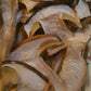 Dry porcini mushrooms